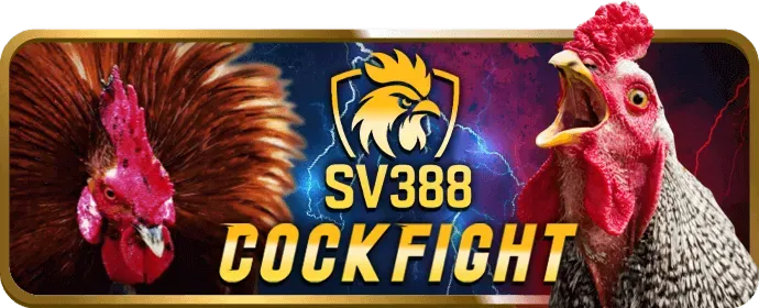 Sòng bạc trực tiếp HDBET Nhà Cái